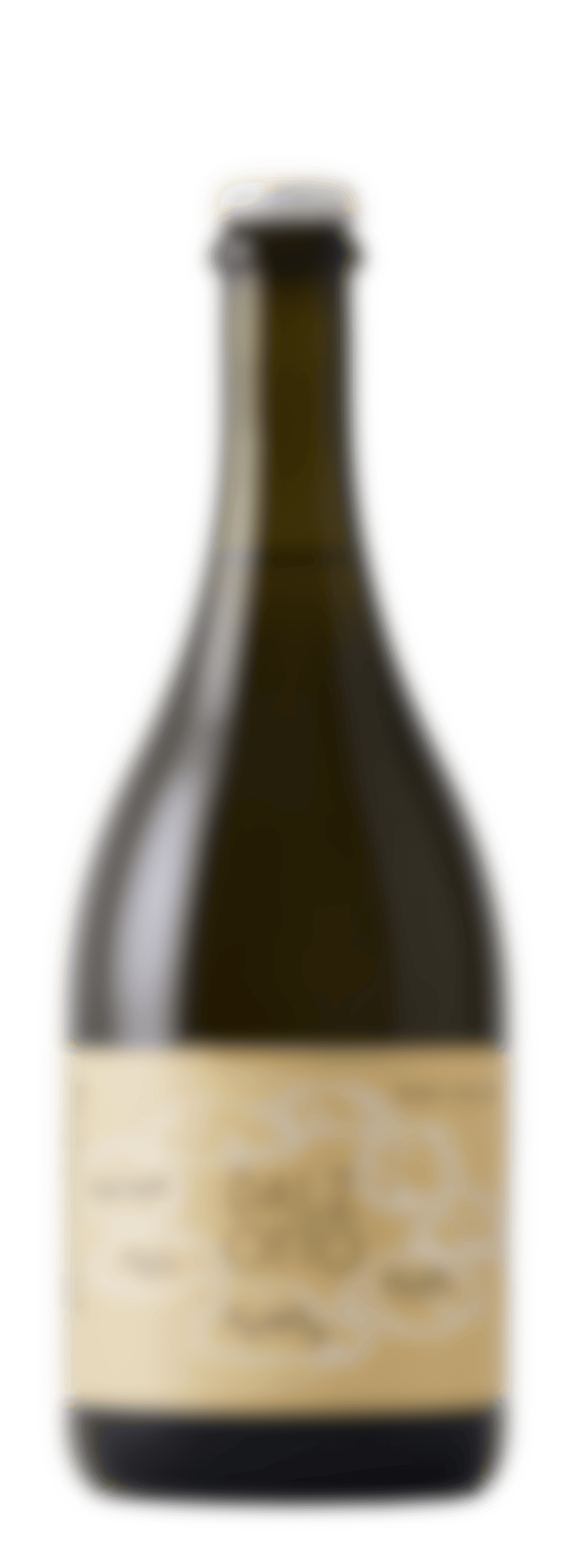 Dal Zotto Wines | Dal Zotto Col Fondo Pucino Prosecco 2022